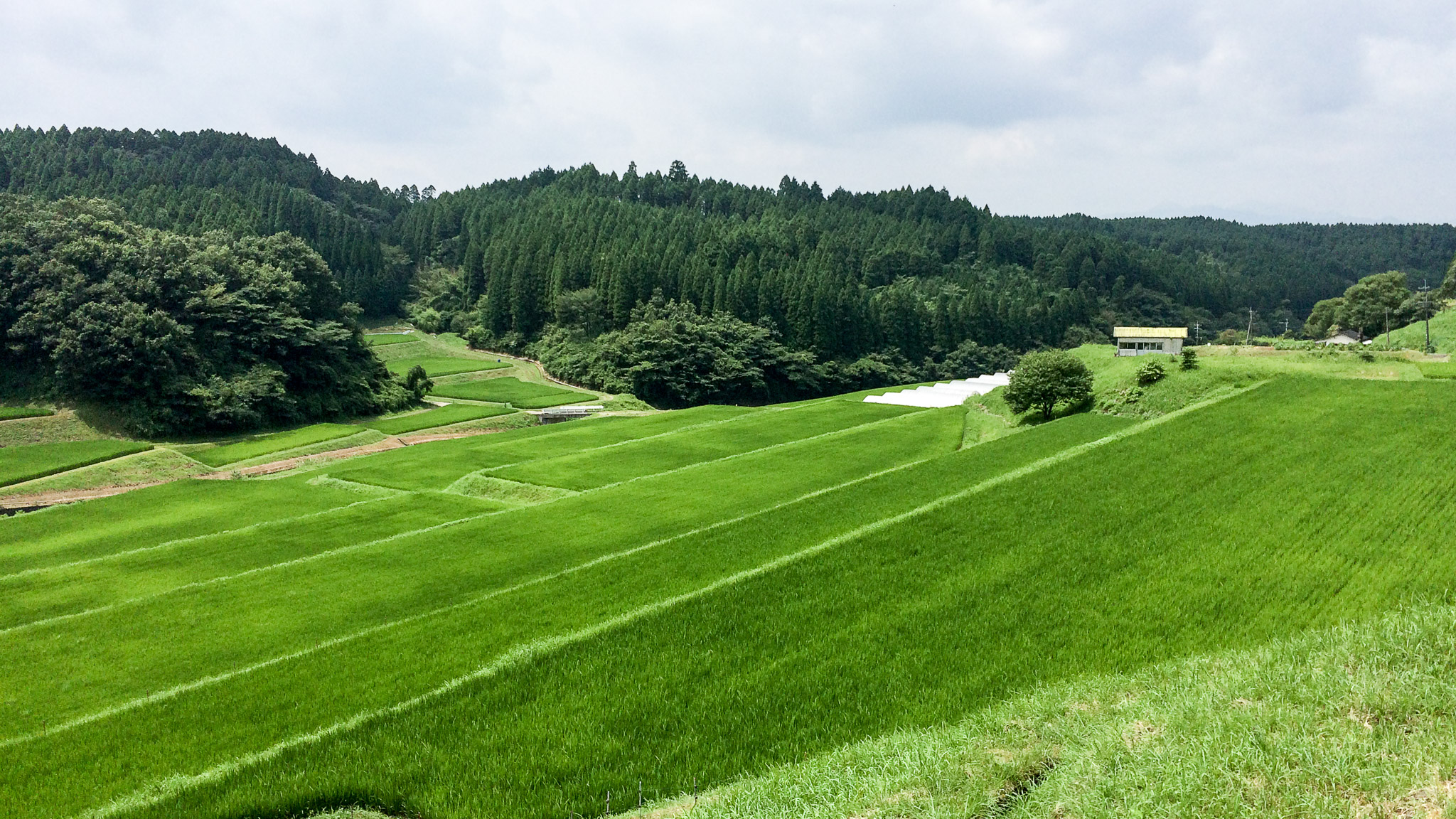 現代アートと思想性